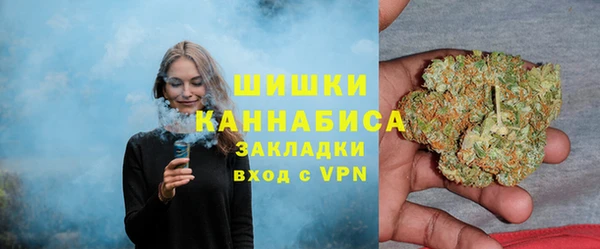 бошки Богородицк