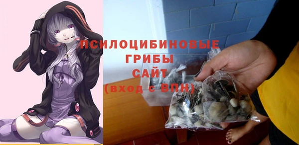 соль курить ск Богородск
