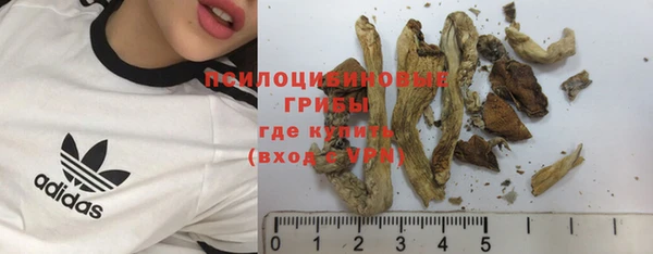 COCAINE Богданович