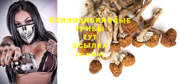 соль курить ск Богородск
